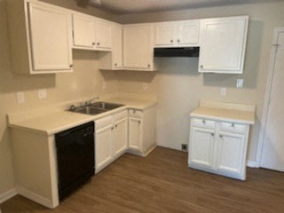 A kitchen with white cabinets and a black dishwasher.