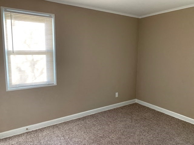 an empty room with a window and a carpet