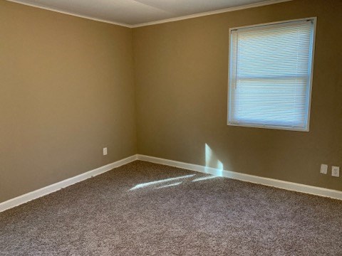 an empty room with a window and a carpet