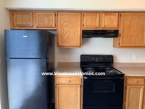 A black refrigerator and stove in a kitchen with wooden cabinets.