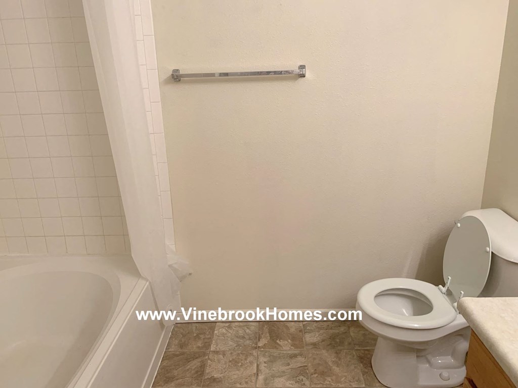 a bathroom with a toilet and a bath tub