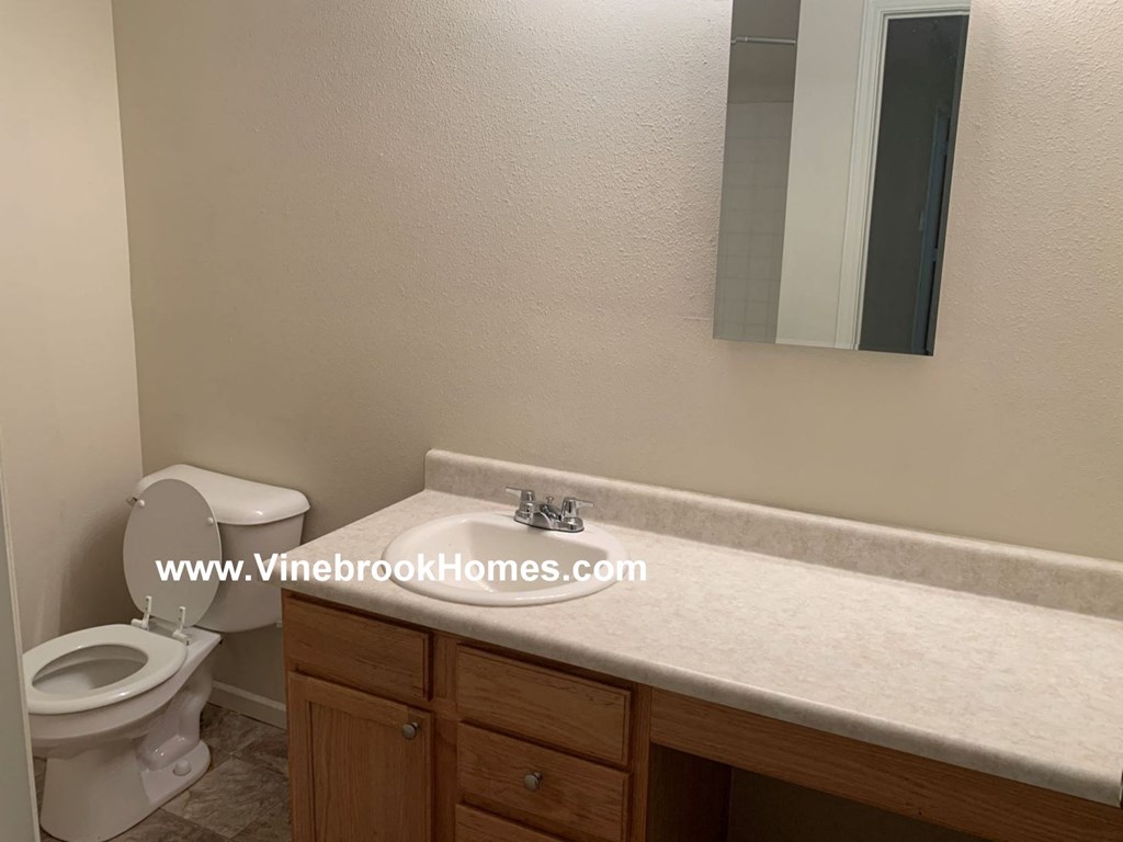 a bathroom with a toilet and a sink and a mirror