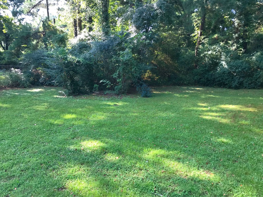 a backyard with green grass and trees