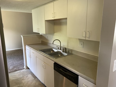 A kitchen with white cabinets and a black dishwasher.