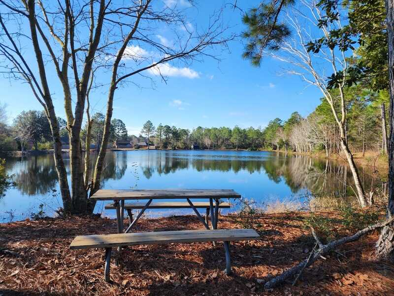 A picnic table sits in front of a lake with trees in the background.