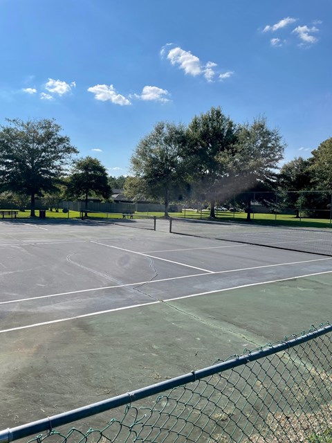 A tennis court surrounded by a fence with trees in the background.