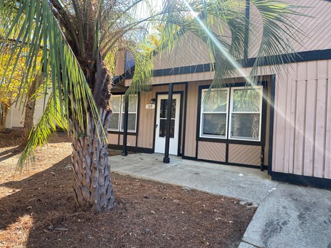 the front entrance of a building with a palm tree