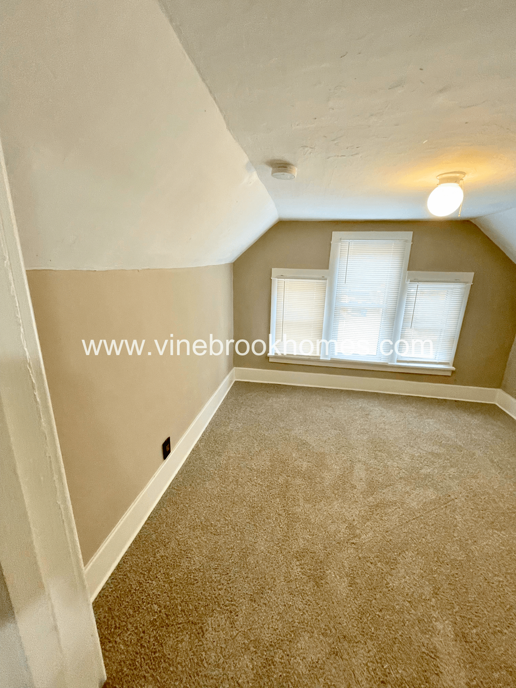 a bedroom with two windows and a carpeted floor