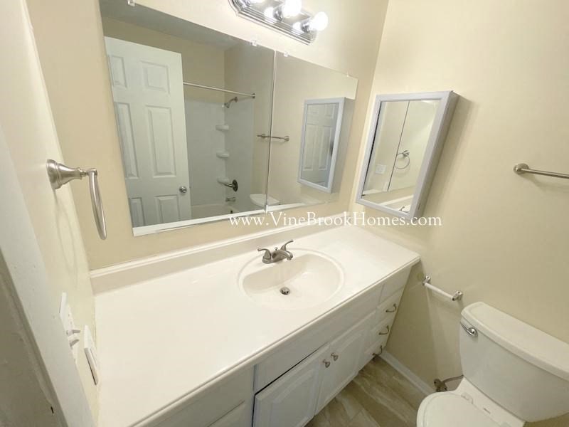 a bathroom with a sink and a mirror and a toilet