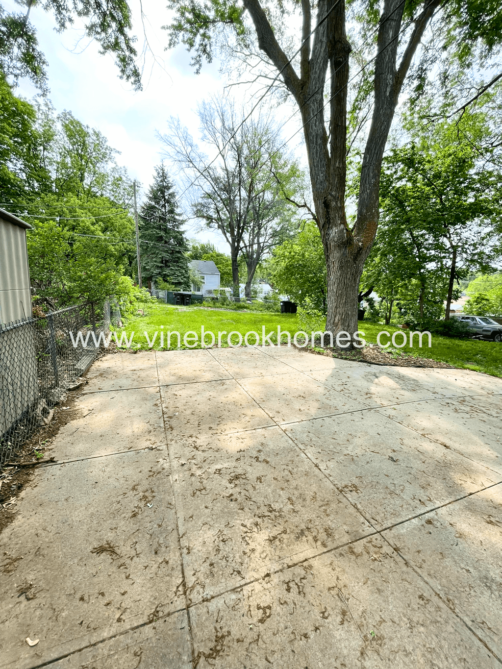 a driveway with a tree on the side of it