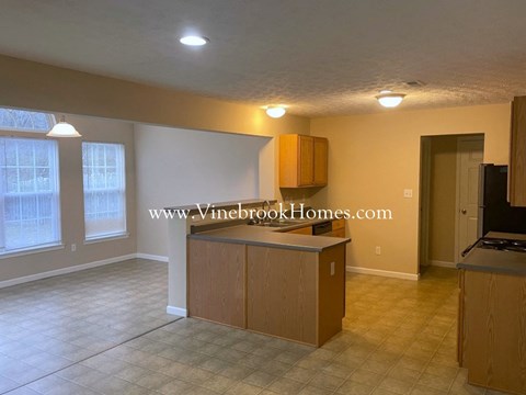 A kitchen with a counter and cabinets is shown in this image.