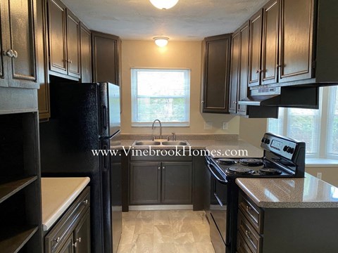 A kitchen with black cabinets and a black refrigerator.