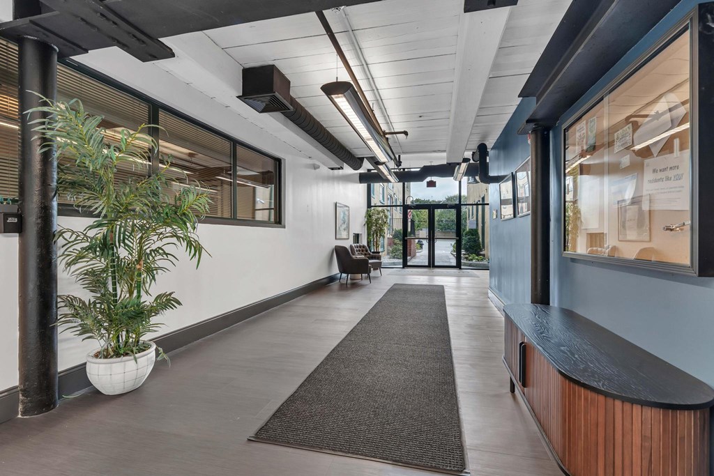 A long hallway with a plant on the left and a bench on the right.