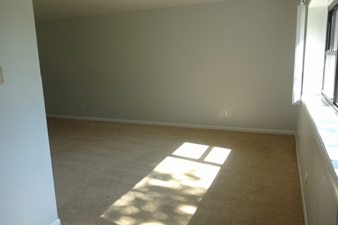 1100 W Lincoln Hwy Studio-4 Beds Apartment for Rent - Photo Gallery 36