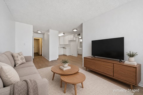 A living room with a grey couch, a wooden coffee table, and a black television on a wooden cabinet.