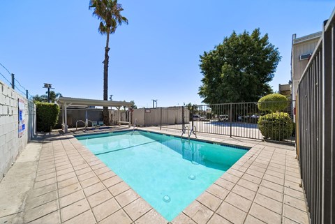 A small pool surrounded by a fence and a palm tree.
