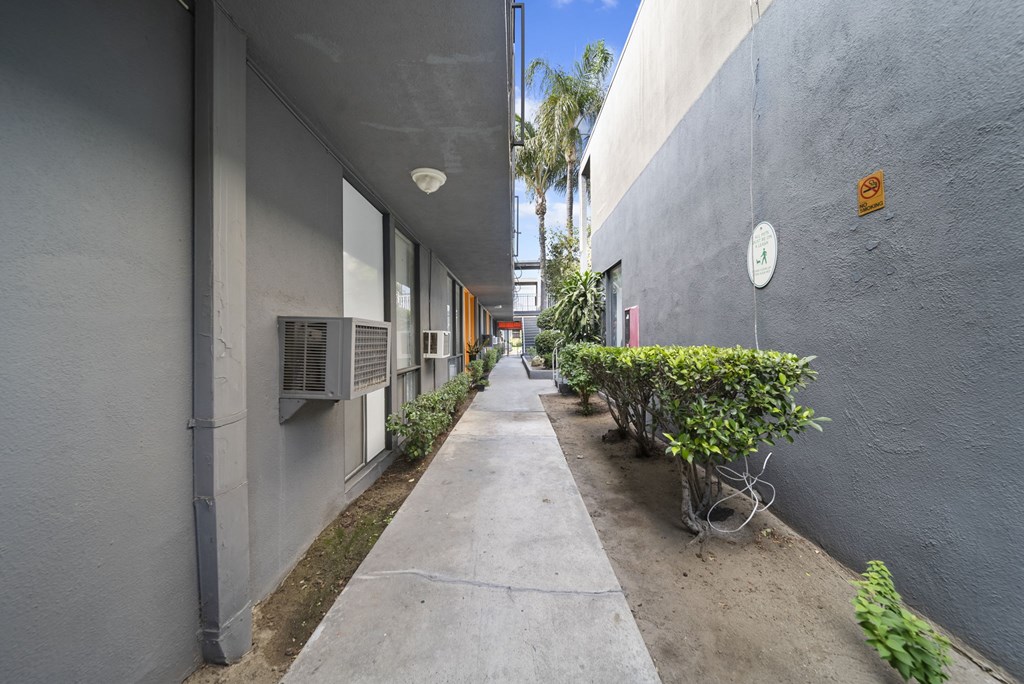 A long, narrow walkway between two grey walls with a small green bush on the right.
