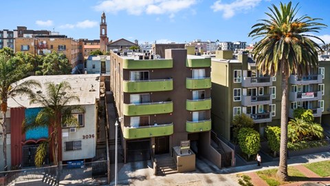 A tall green and beige building with a palm tree in front.