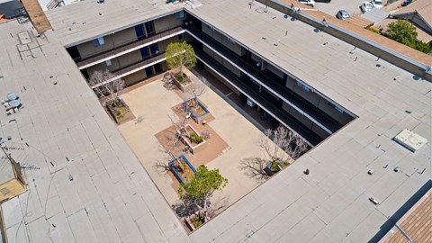 A courtyard with a tree and a bench is surrounded by buildings.