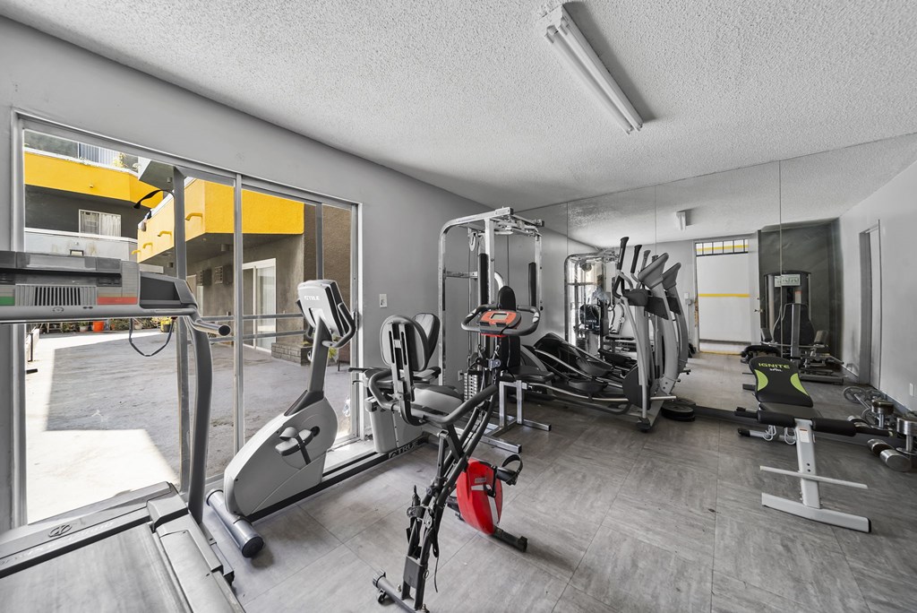 A gym with a variety of equipment including a treadmill, weights, and a bench press.