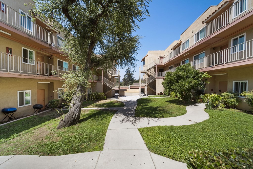 A tree in a courtyard surrounded by apartment buildings.