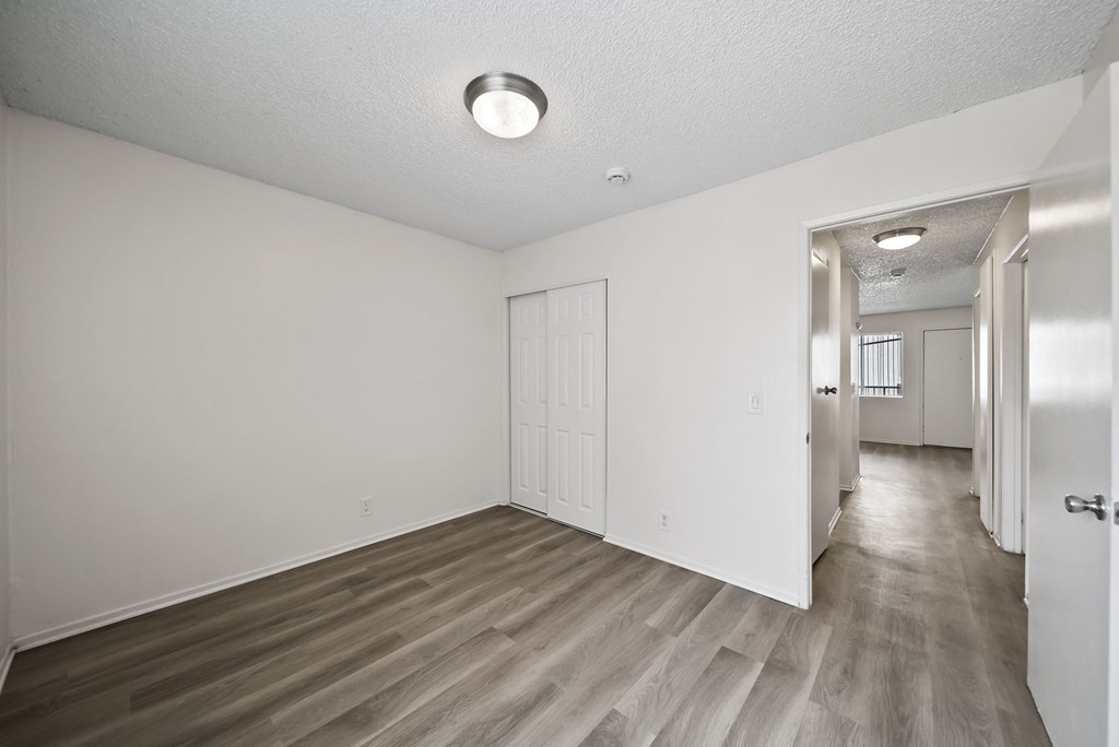 A room with a white ceiling and wooden flooring with two doors.