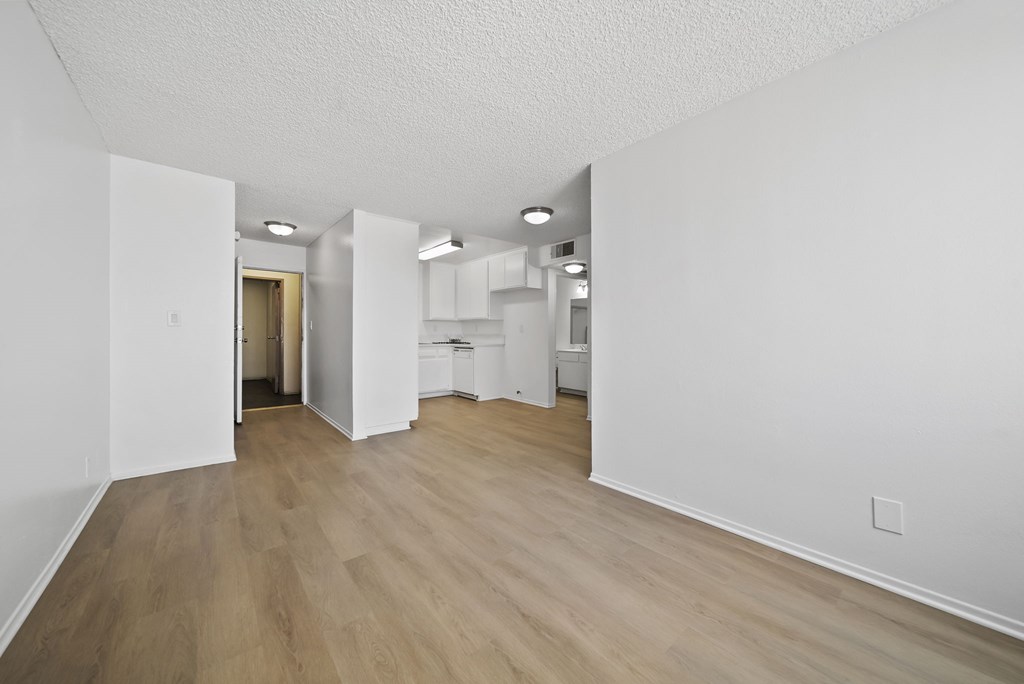 A white room with wooden flooring and a doorway leading to another room.