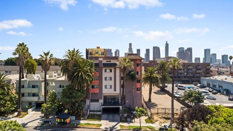 A cityscape with buildings and palm trees in the foreground.