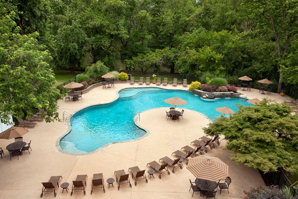 A large outdoor swimming pool surrounded by trees and lounge chairs.