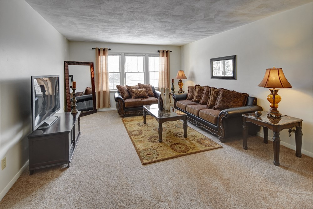 A living room with a couch, a chair, a coffee table, and a rug.