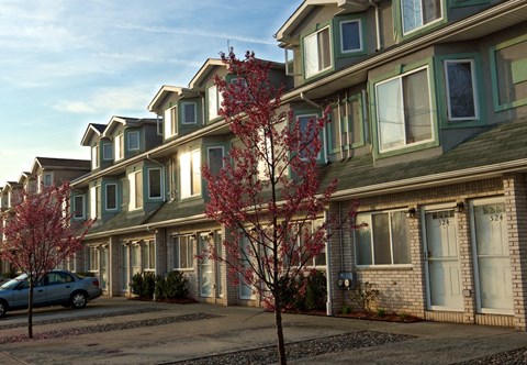 A row of houses with trees in front of them. at Seaview Apartments in Staten Island, NY, 10305