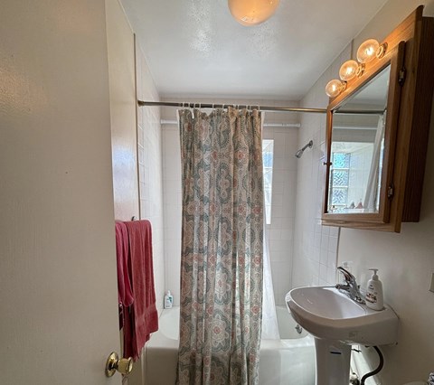 A bathroom with a sink, mirror, and shower curtain.