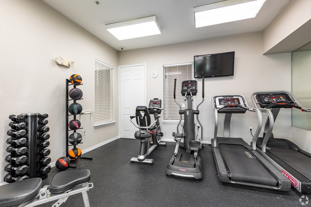A gym with a treadmill, exercise bike, and weights.