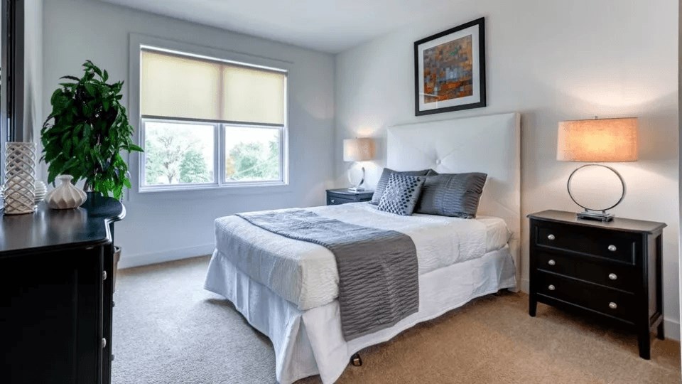 A bedroom with a bed, nightstand, and a plant.