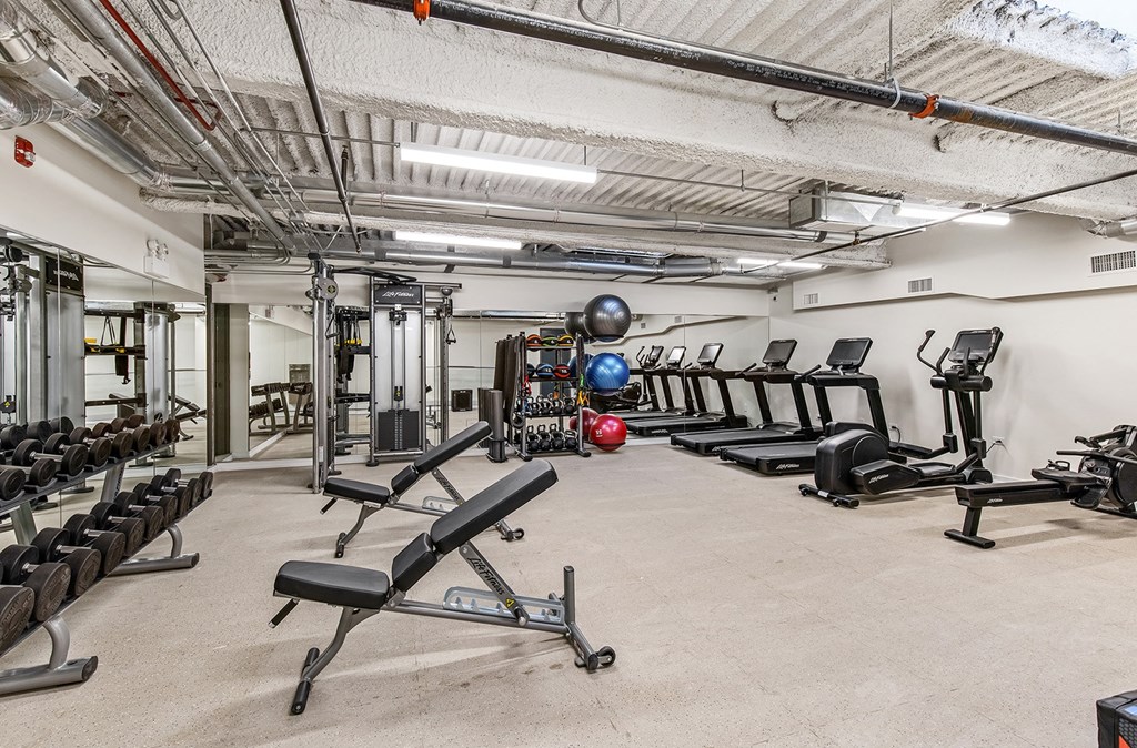 the gym at the house