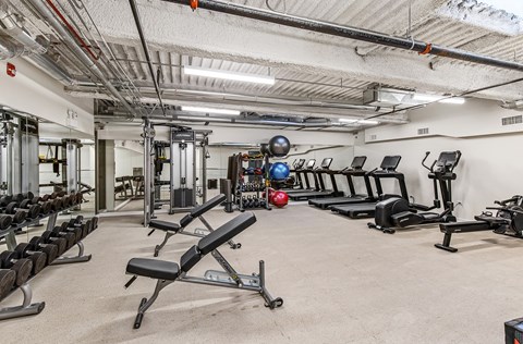 the gym at the house
