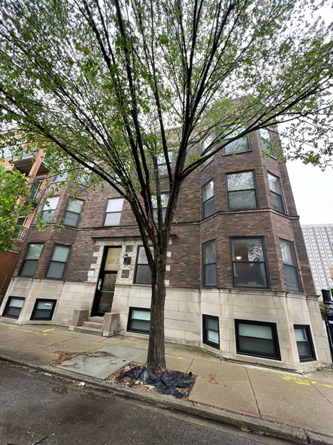 a tree in front of a building
