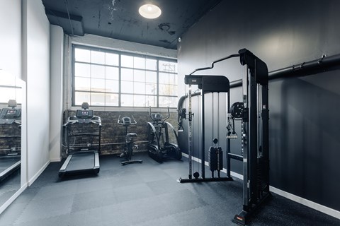 A gym with a variety of equipment including a treadmill, weights, and a squat rack.