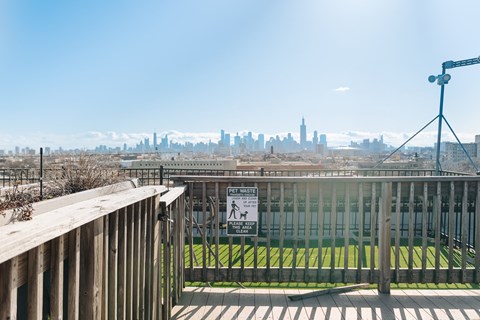 A view of a city skyline from a bridge with a sign indicating a dog-friendly area.
