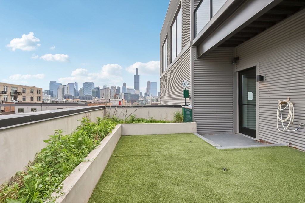 A small patch of green grass in front of a grey building.