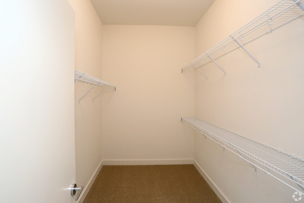 A walk-in closet with white shelving and a carpeted floor.