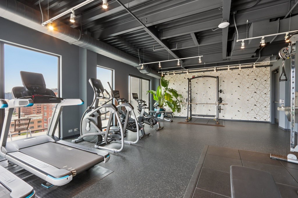 A gym with treadmills, exercise bikes, and a potted plant.