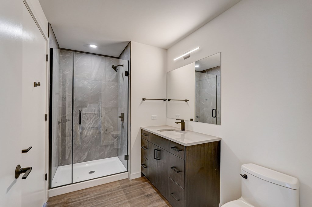 A modern bathroom with a walk-in shower and a toilet.