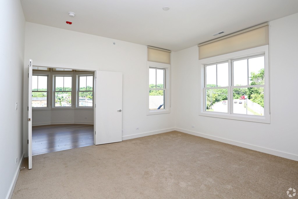 A room with a carpeted floor and two windows.