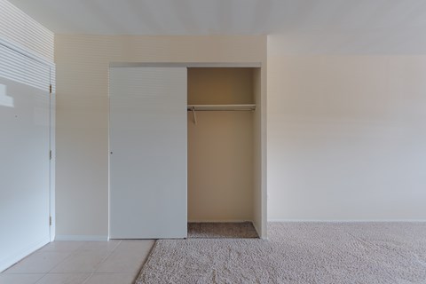 A white closet with a shelf and a carpet on the floor.