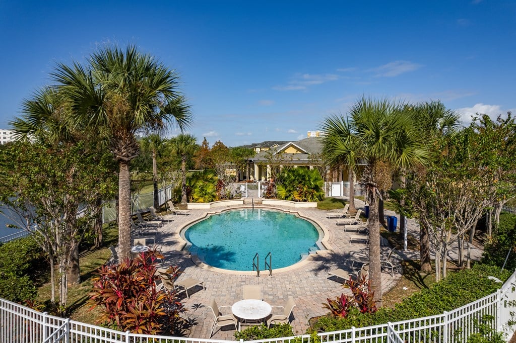 A pool surrounded by palm trees and a white fence.
