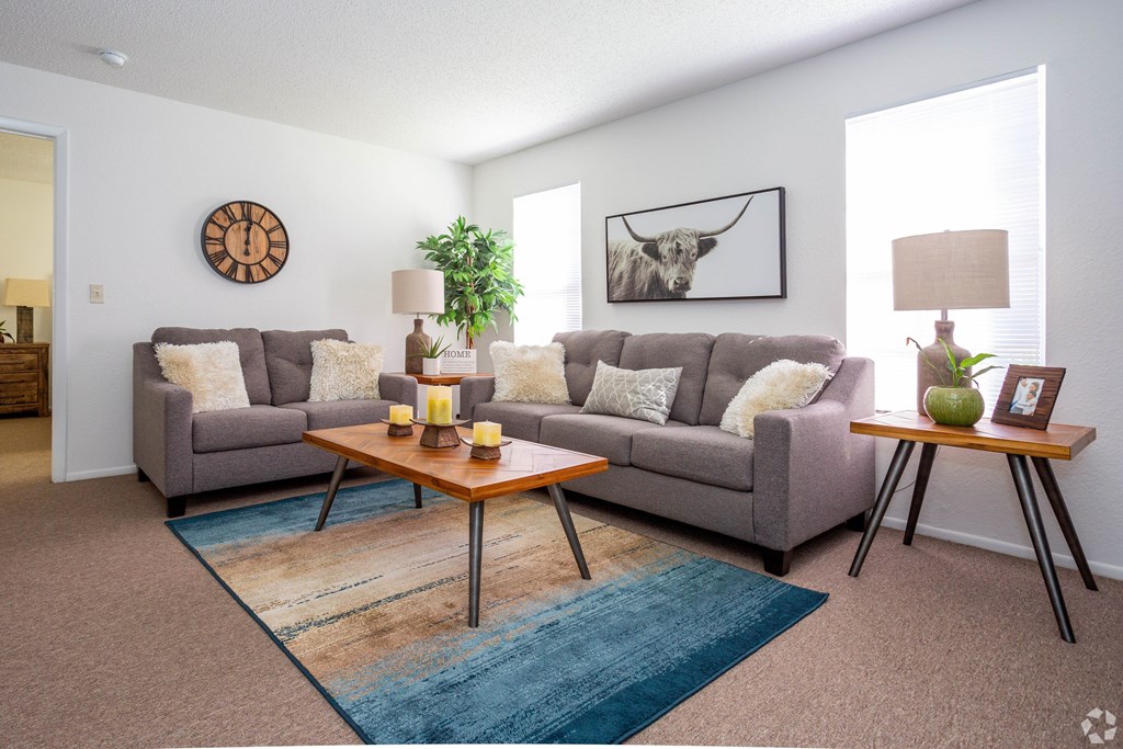 A living room with a grey couch, a wooden coffee table, and a blue rug.