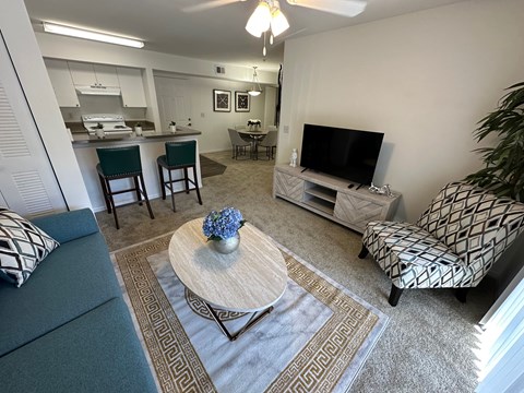 A living room with a grey couch and a coffee table.
