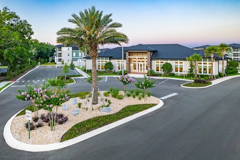 A palm tree stands in a landscaped garden in front of a building.