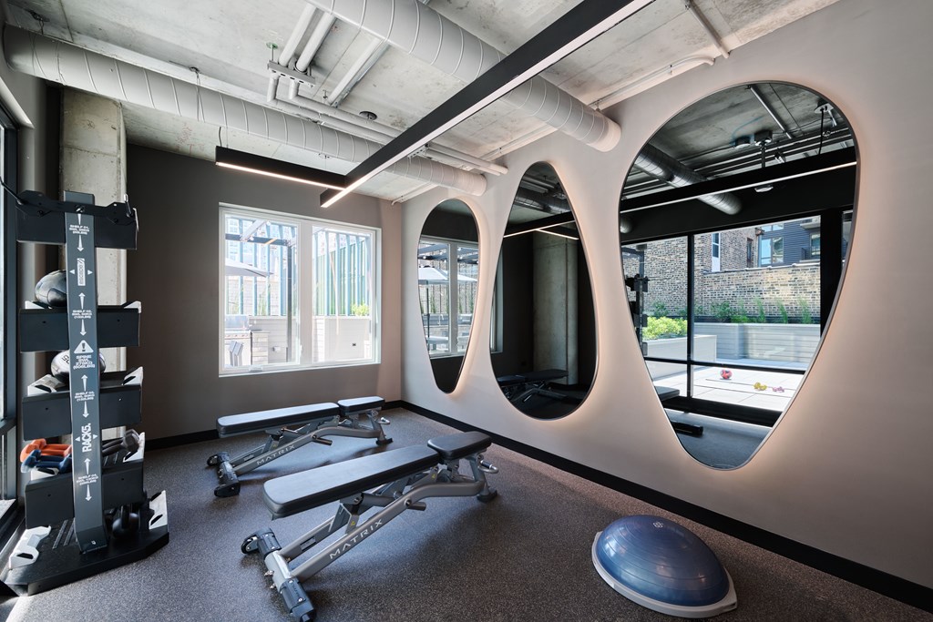 A gym with a row of treadmills and a row of dumbbells.